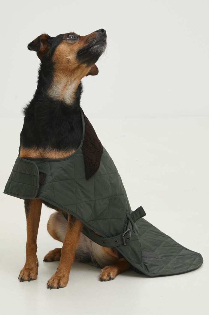 Плащ для собаки Barbour DCO0004GN91 барвистий AA00