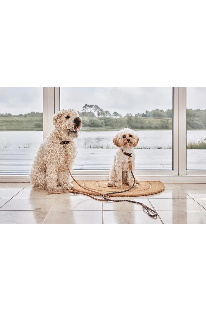 Lifestyle OYOY lesa pentru catel Perry Dog Leash Z60077 maro