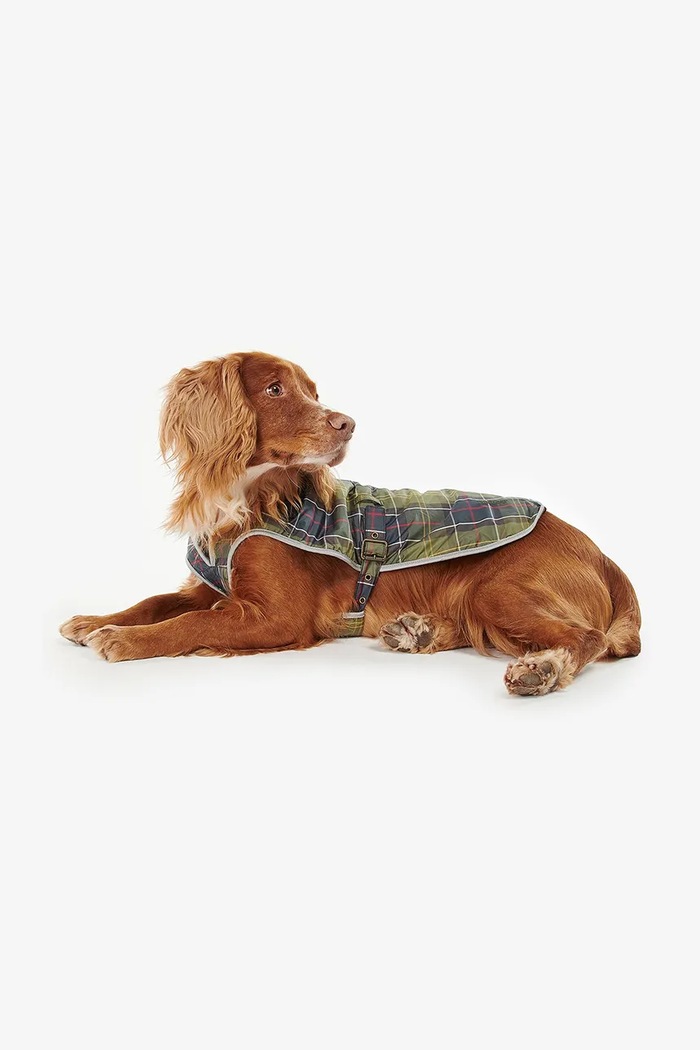 Płaszcz dla psa Tartan Waterproof Dog Barbour DCO0012TN11 zielony