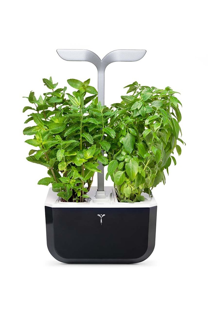 Inteligentný kvetináč Veritable Exky Smart 20 × 18 cm čierna VEXK.SSBAS.EU2.163