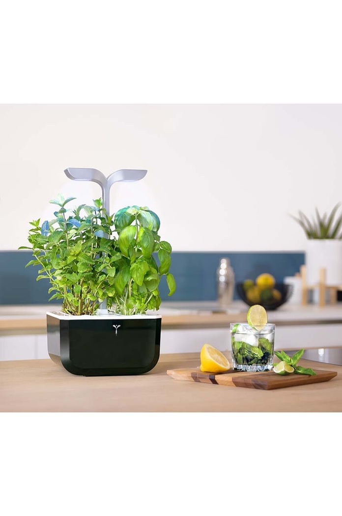 Obývacia izba a spálňa Inteligentný kvetináč Veritable Exky Smart 20 × 18 cm VEXK.SSBAS.EU2.163 čierna