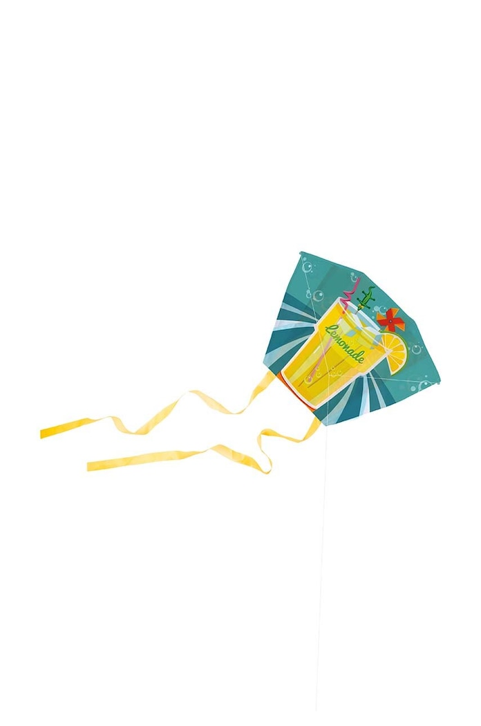 Papírový drak Donkey Mini Kite LemonAir vícebarevná 340007