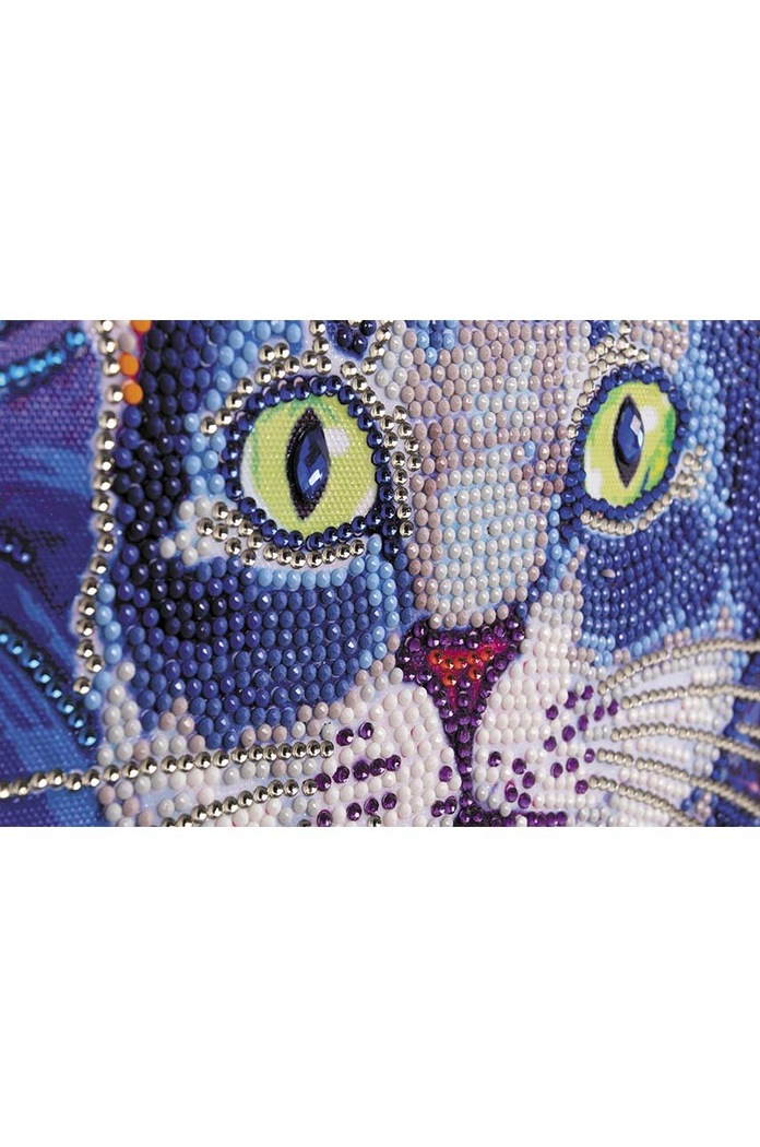 Lifestyle Graine Creative Kit de bricolaj Diamond Painting Chat 117047 multicolor