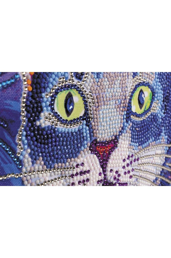 Lifestyle Graine Creative Kit de bricolaj Diamond Painting Chat 117047 multicolor