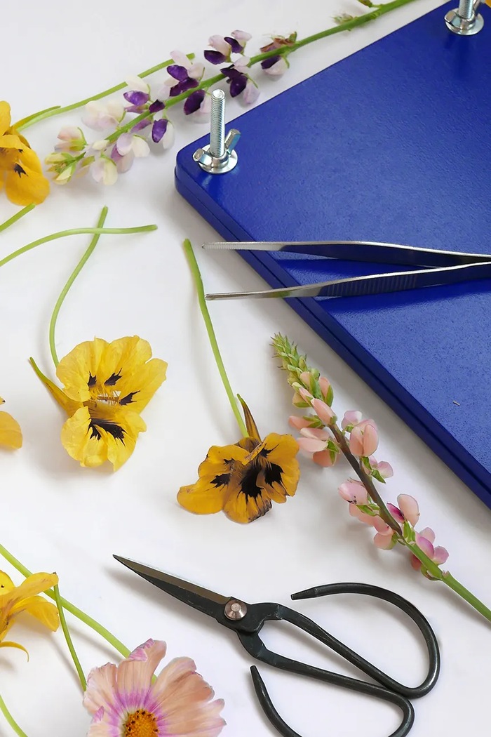 Súprava diy na sušenie kvetov Printworks Flower Press modrá PW00704