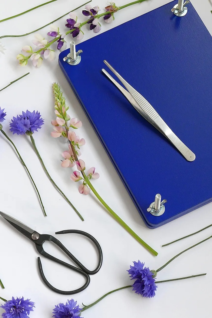 Súprava diy na sušenie kvetov Printworks Flower Press PW00704 modrá