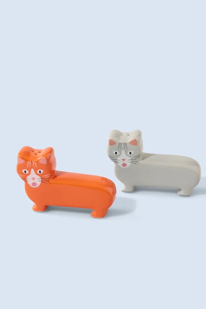 Soľnička a korenička Fluid Market 5,5 x 8,5 x 2,5 cm viacfarebná AASAAPECAT