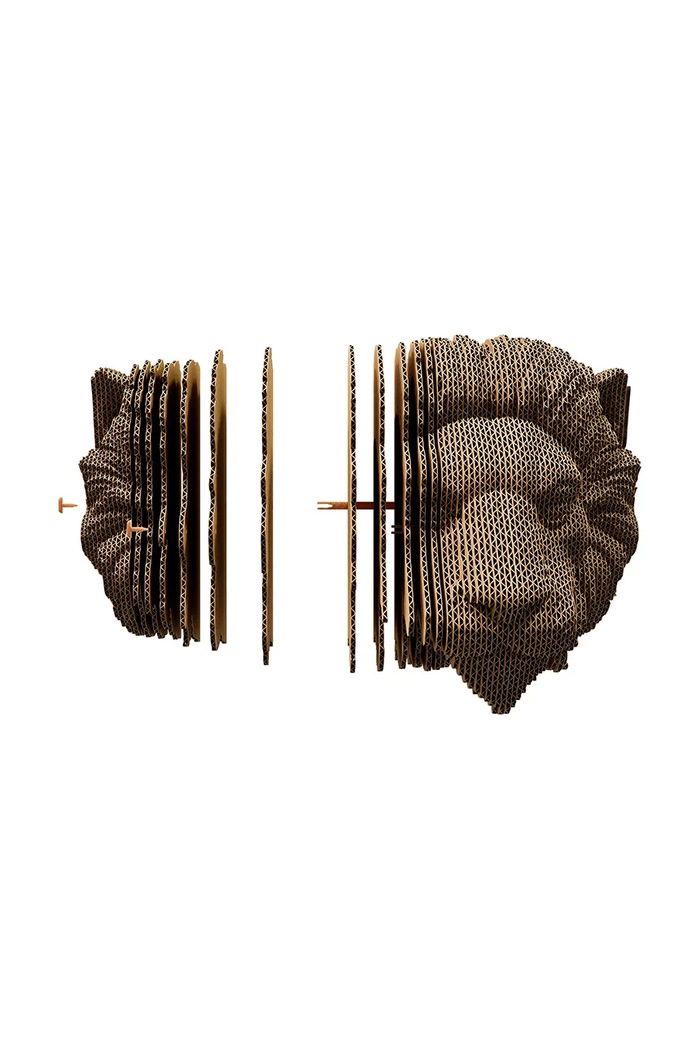 Lifestyle Cartonic puzzle 3d Lion CWLION multicolor