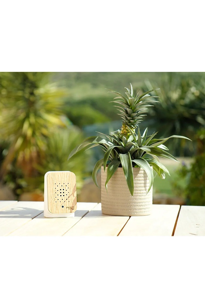 Relaxound głośnik z dźwiękami Junglebox 13 × 16 × 6 cm multicolor 11JGL0201002