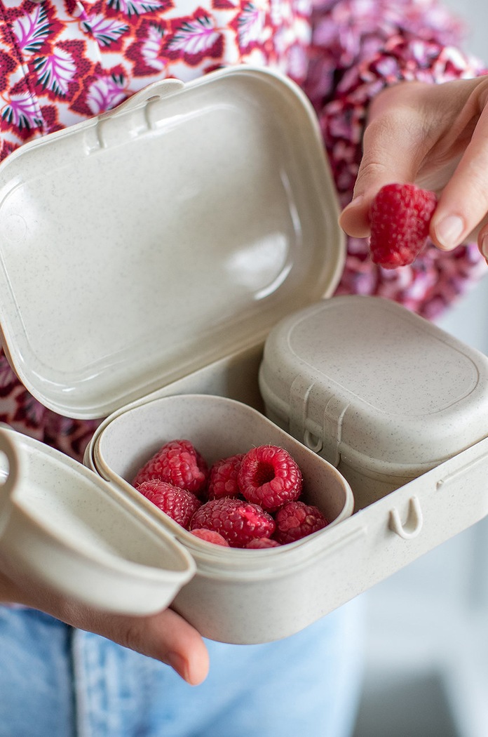 Koziol lunchbox (3-pack) 7151704