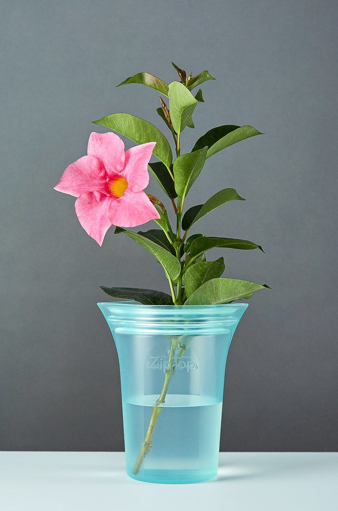 Zip Top Recipient pentru gustări Small Cup 237 ml Z.CUPS.02