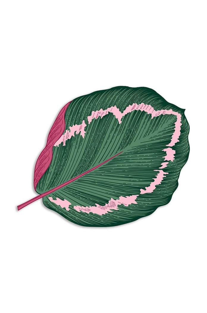 Madre Selva podkładka dekoracyjna Calathea multicolor 1929644