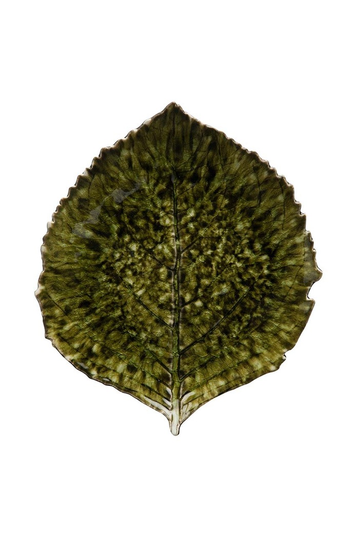 Sada tanierov Costa Nova Riviera Hydrangea 22 cm 6-pak zelená VEP221.FRT.SET6