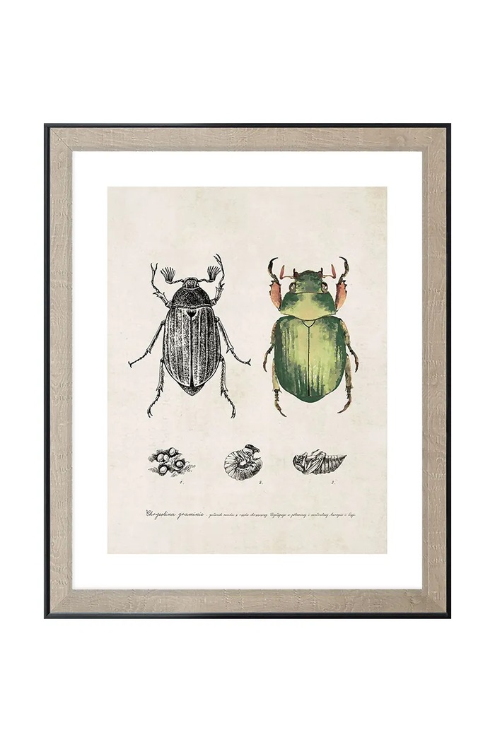 Διακοσμητικό τοίχου σε κορνίζα 40 x 50 cm πολύχρωμο 1529211.23099