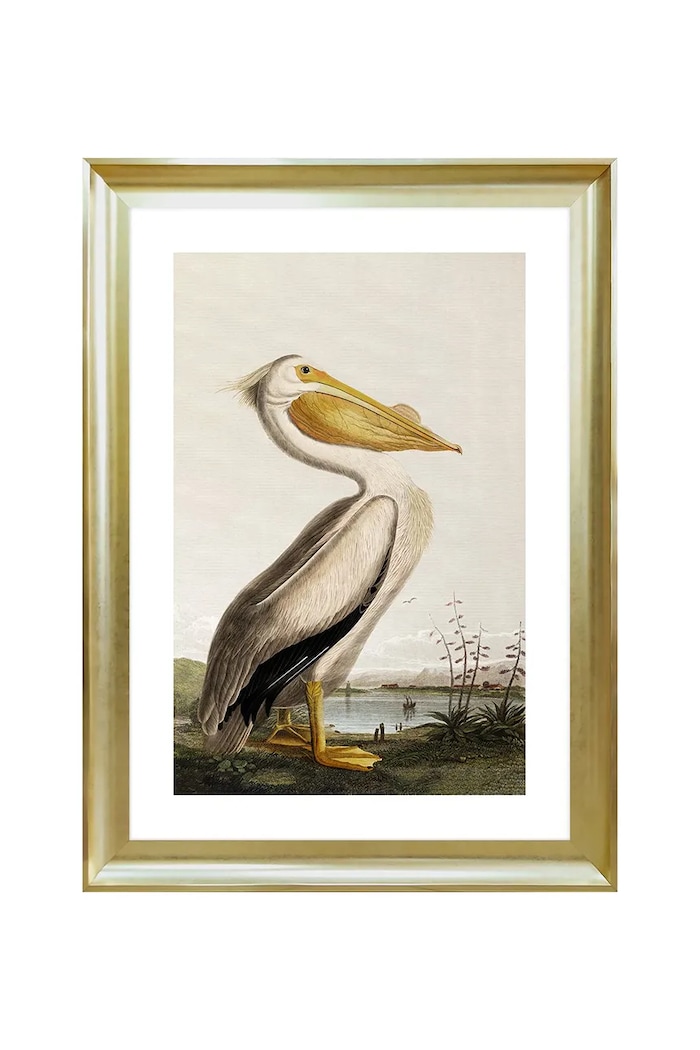 home & lifestyle dekoracja ścienna w ramie PELICAN OVER THE WATER 50 x 70 cm multicolor 1541601.23103