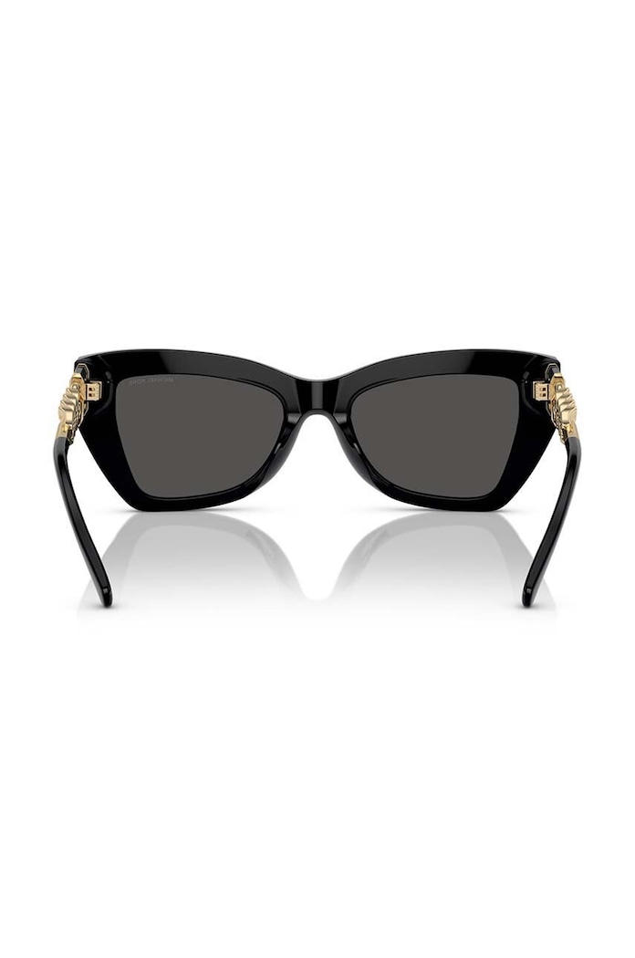 Sunčane naočale Michael Kors 0MK2205 crna