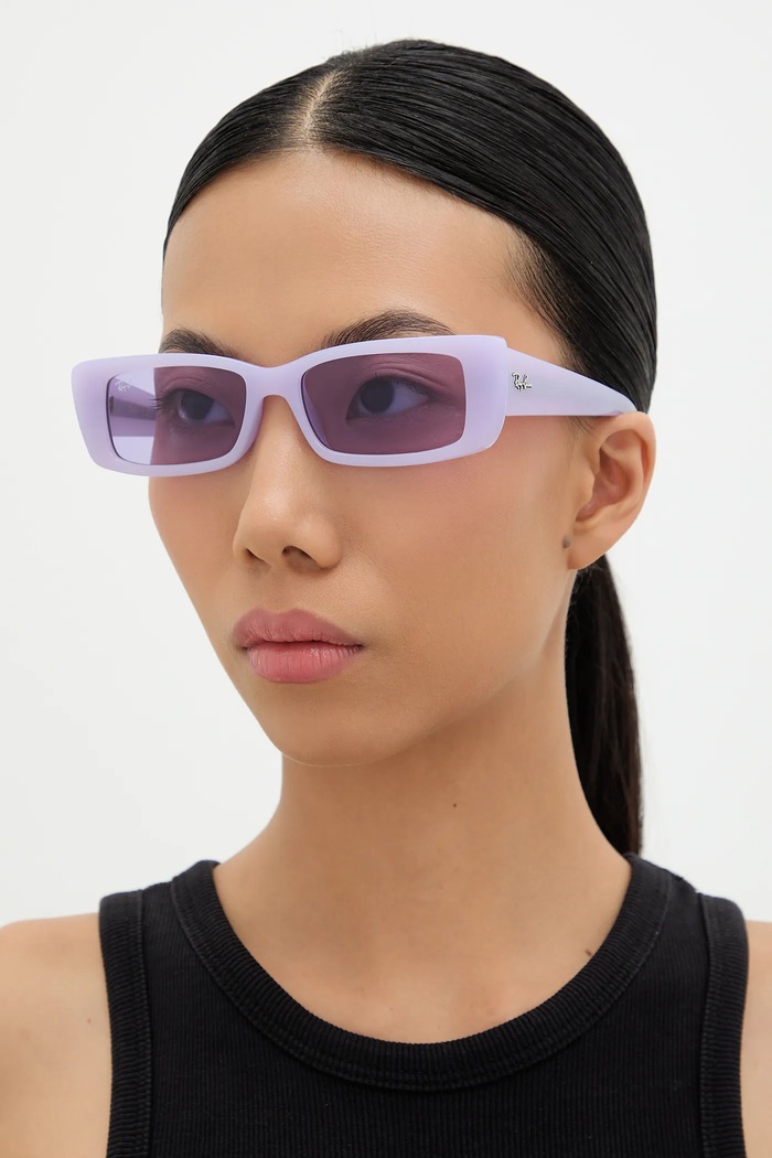 Accesorii Ray-Ban ochelari de soare TERU 0RB4425 violet