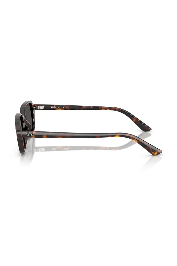 Sluneční brýle Ray-Ban 0RB4455 hnědá