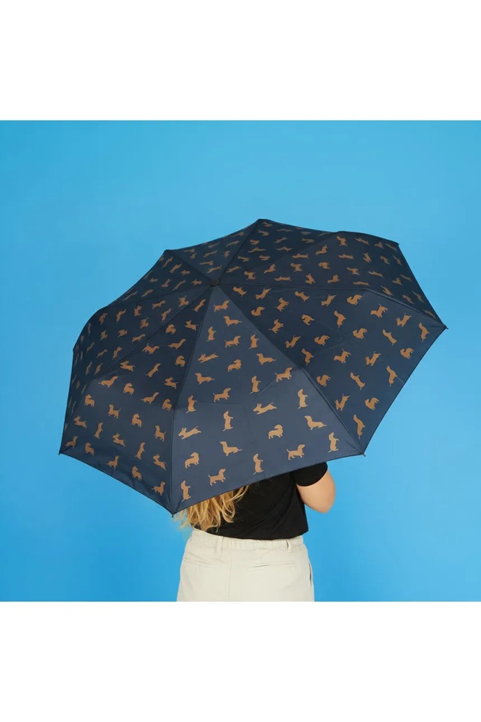Balvi parasol Teckel 40 x 17 x 6 cm 28201