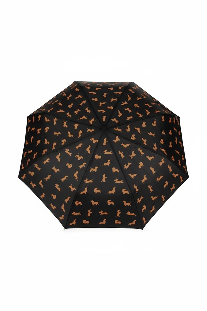 Balvi parasol Teckel 40 x 17 x 6 cm 28201 multicolor