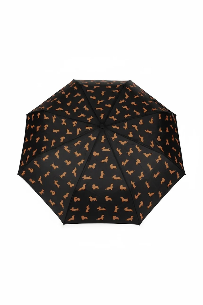Balvi parasol Teckel 40 x 17 x 6 cm 28201 multicolor