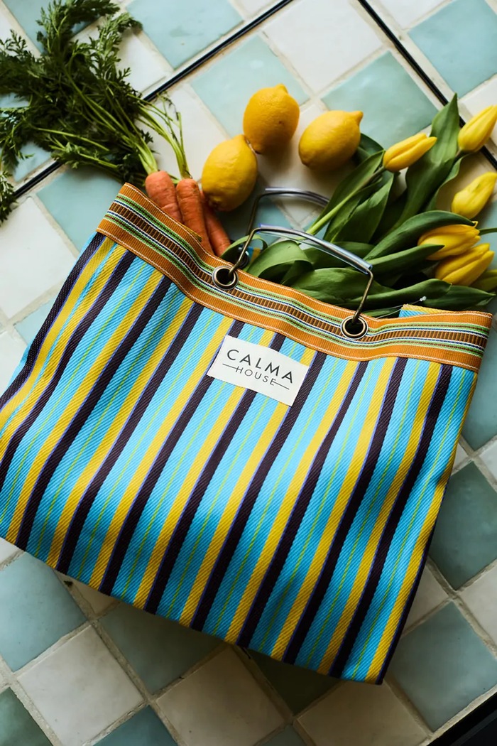 Calma House torba z tworzywa sztucznego 45 x 35 x 20 cm BERLINB4535AZU