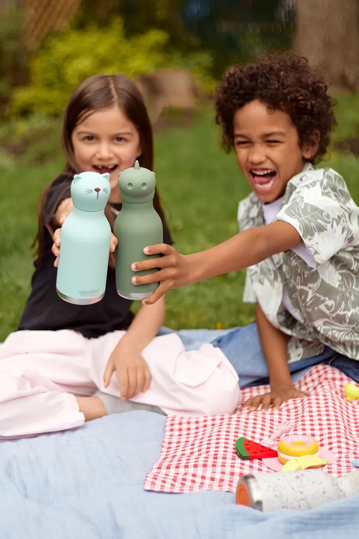 Asobu butelka termiczna ze stali nierdzewnej 460 ml SBV44DI zielony