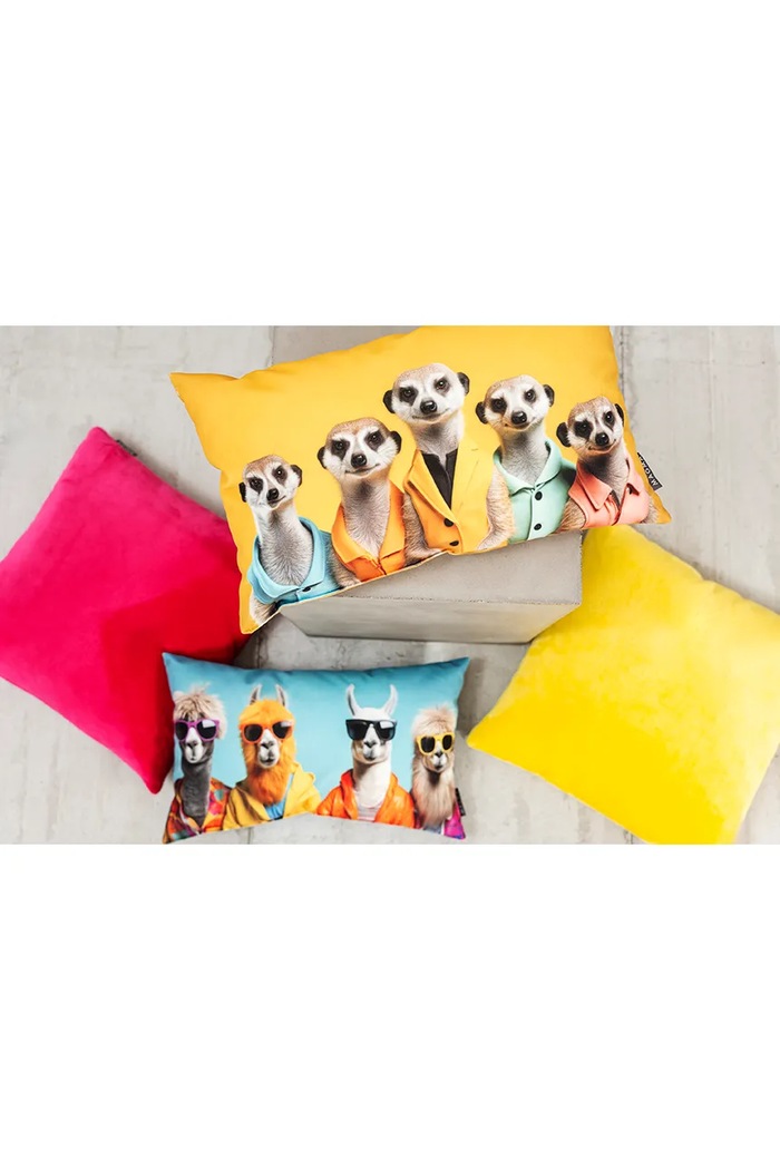 Living și dormitor Magma Pernă decorativă Crazy 30 x 50 cm 19880.001 multicolor