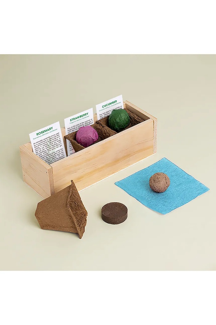 Komplet za gojenje rastlin RESETEA Gin Tonic Growing Kit 21 x 7,8 x 6,5 cm Erst169 pisana AA00
