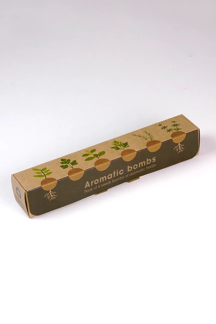 Komplet za gojenje rastlin RESETEA Herb Bombs 19,5 x 3,3 x 3,3 cm pisana Erst389
