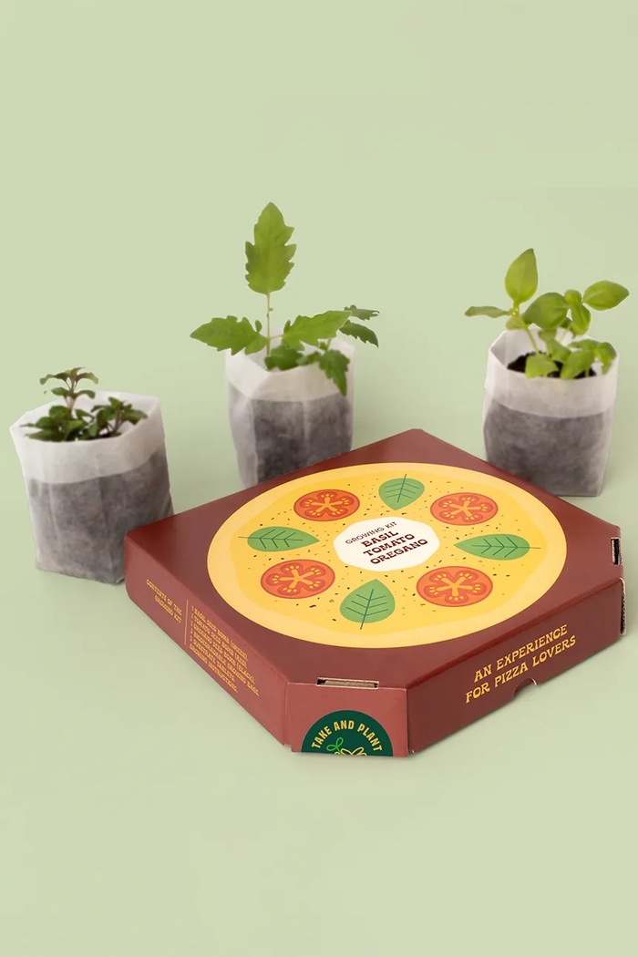Življenjski slog Komplet za gojenje rastlin RESETEA Pizza Lovers EN 21,5 x 21,5 x 3,5 cm Erst469 pisana