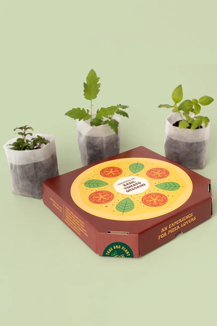 Življenjski slog Komplet za gojenje rastlin RESETEA Pizza Lovers EN 21,5 x 21,5 x 3,5 cm Erst469 pisana