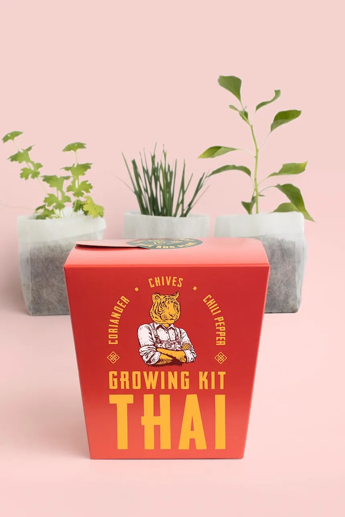 Lifestyle RESETEA set pentru cultivarea plantelor Kit Thai EN 16 x 8,5 cm Erst492 multicolor