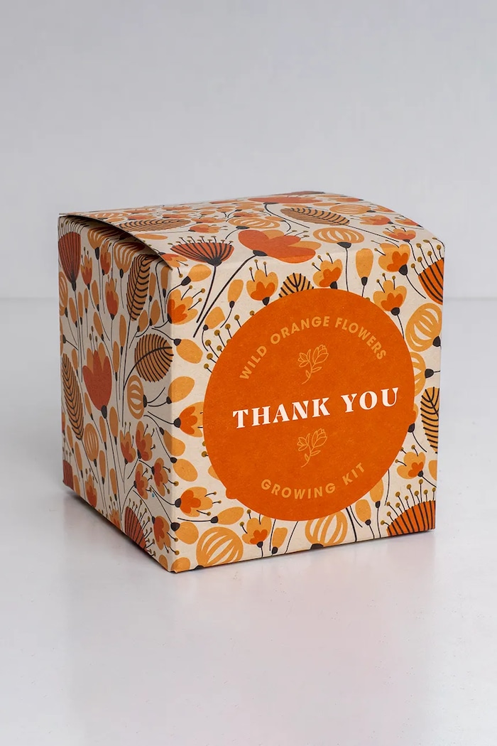 Komplet za gojenje cvetja RESETEA Say it with Flowers Growing Kit 8,8 x 8,8 x 8,8 cm pisana Erst174