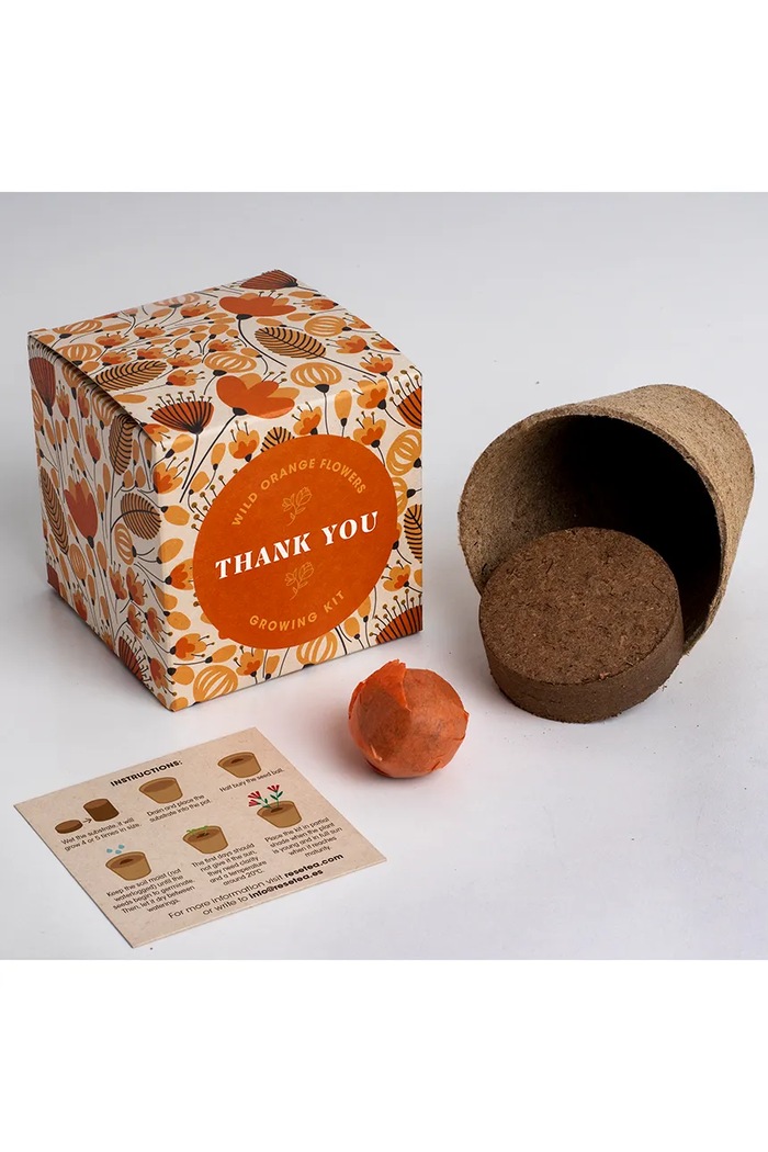 Komplet za gojenje cvetja RESETEA Say it with Flowers Growing Kit 8,8 x 8,8 x 8,8 cm Erst174 pisana AA00