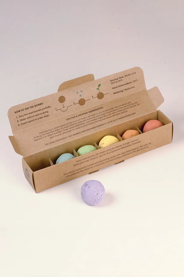 Življenjski slog Komplet za gojenje cvetja RESETEA Flower Bombs 19,5 x 3,3 x 3,3 cm Erst388 pisana