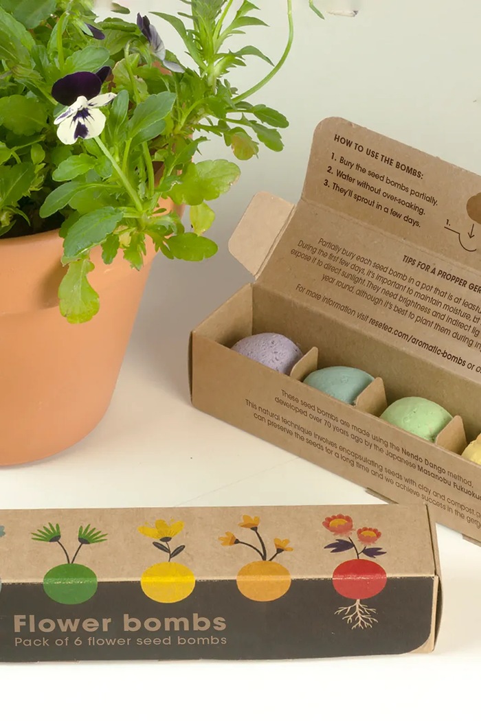 Komplet za gojenje cvetja RESETEA Flower Bombs 19,5 x 3,3 x 3,3 cm Erst388 pisana