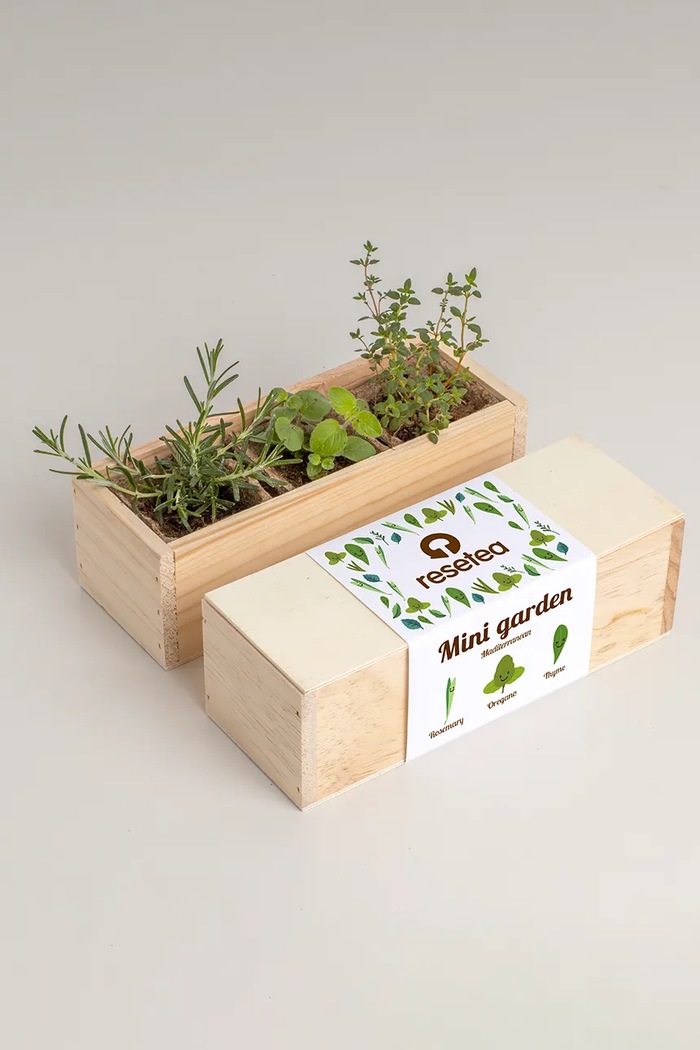 Комплект за отглеждане на растения RESETEA Mini garden Mediterranean 9,8 x 8,8 x 8,8 cm многоцветен Erst427