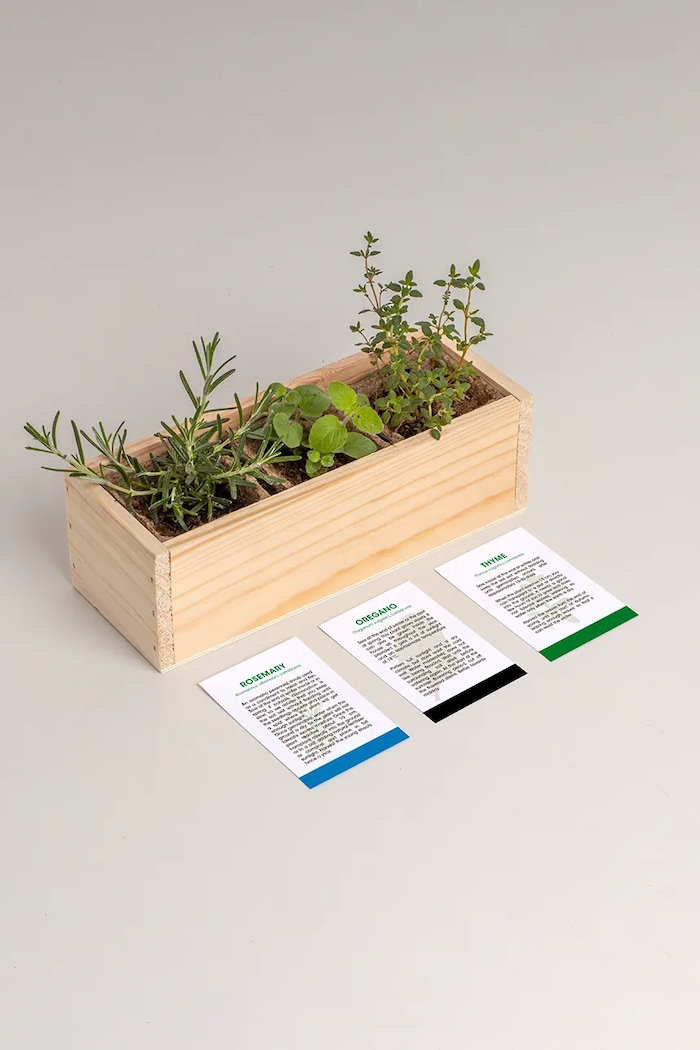 Лайфстайл Комплект за отглеждане на растения RESETEA Mini garden Mediterranean 9,8 x 8,8 x 8,8 cm Erst427 многоцветен