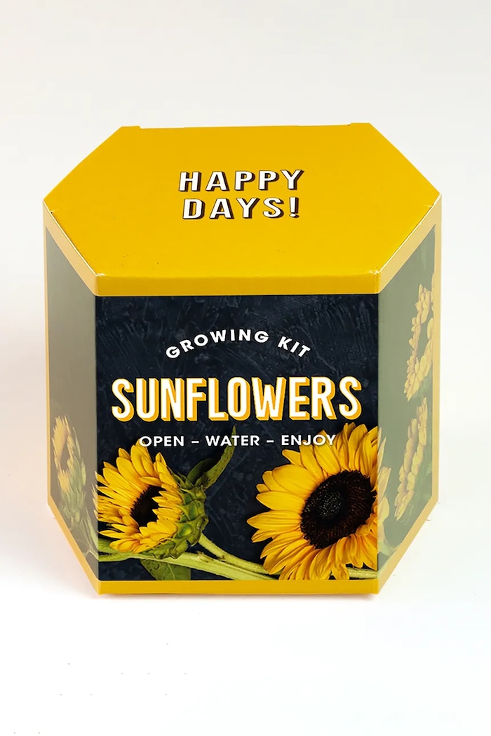 Комплект за отглеждане на растения RESETEA Sunflower Growing Kit 9,8 x 8,8 x 8,8 cm многоцветен Erst179