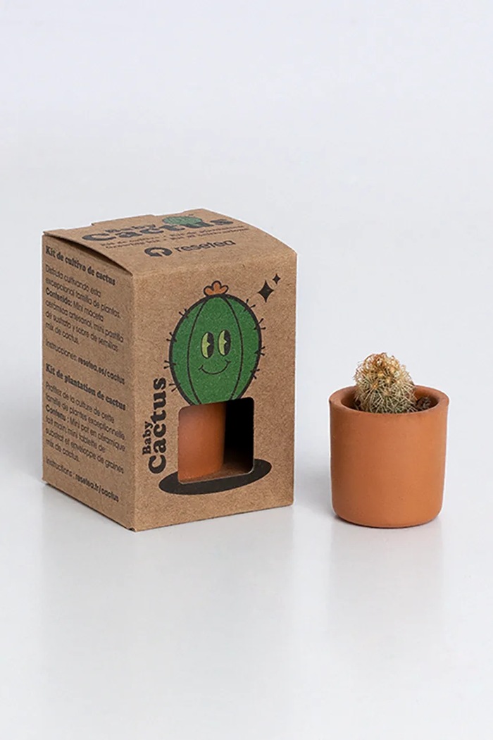 Lifestyle RESETEA set pentru cultivarea unei plante Baby Cactus 4,7 x 6,5 x 4,7 cm Rst424 multicolor