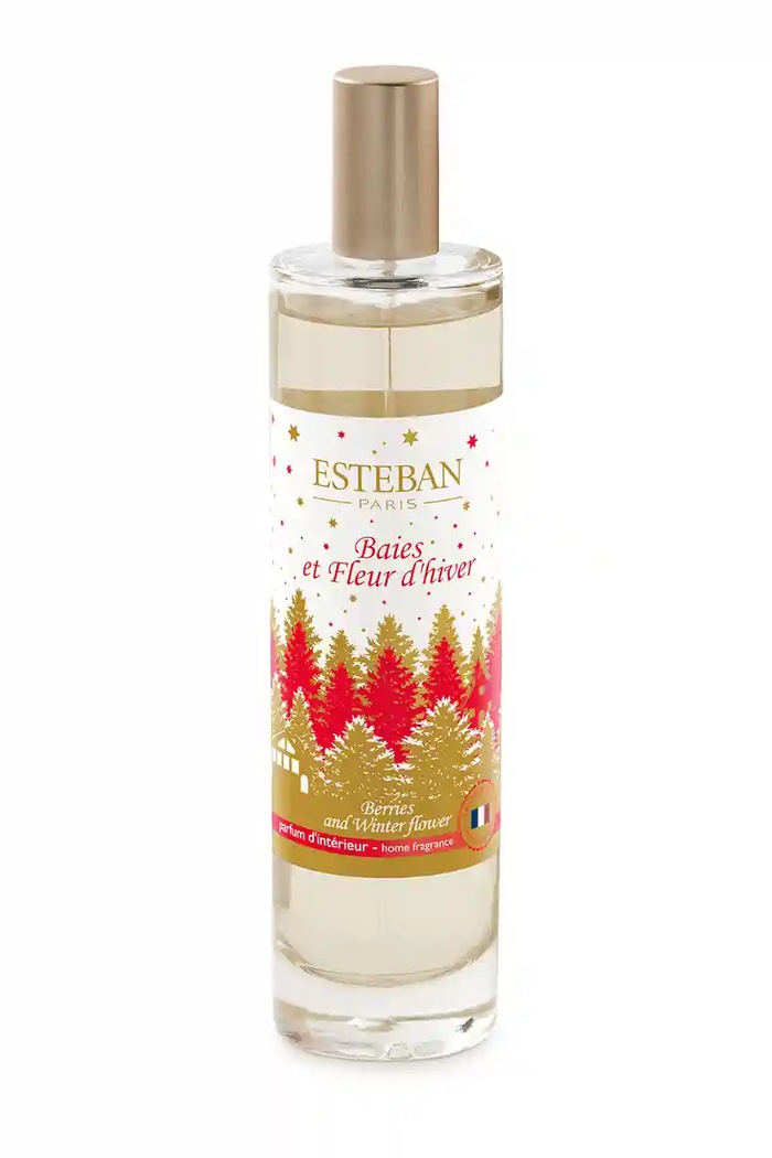 Izbová vôňa Esteban Berries And Winter Flower 75 ml viacfarebná ELN.125