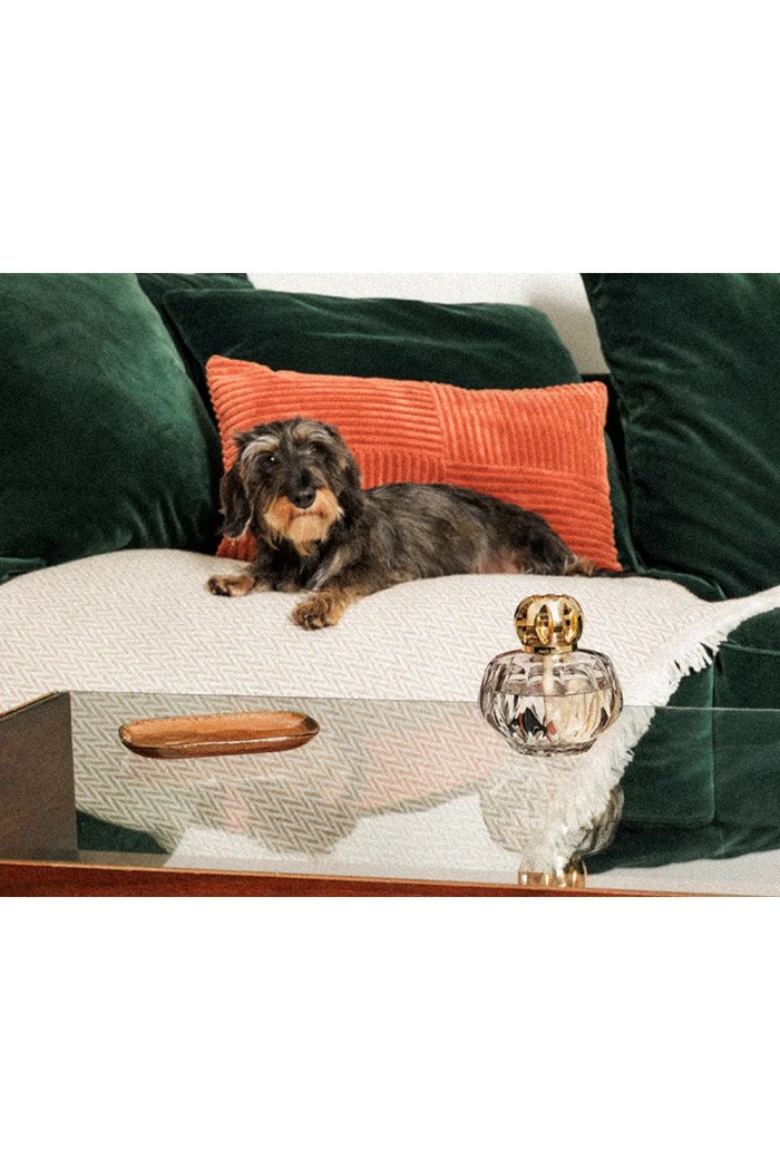 Maison Berger Paris dyfuzor katalityczny z esencją zapachową 310 ml 4862