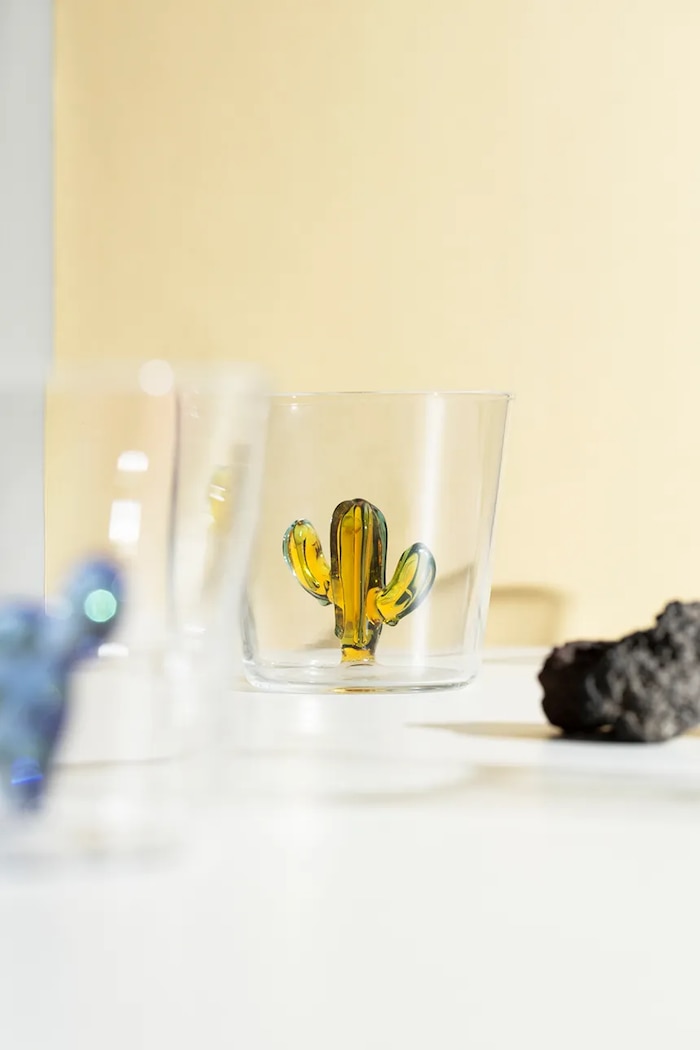 Zestaw szklanek ze szkła borokrzemianowego Desert Plants 300 ml Ichendorf Milano 009352099S multicolor