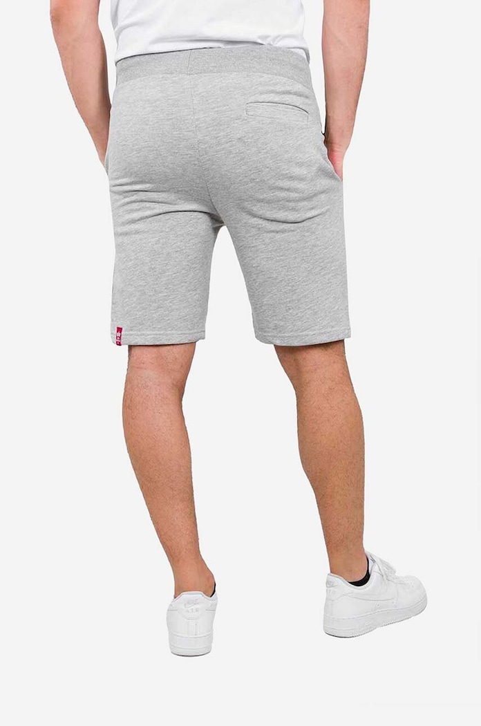 Kraťasy Alpha Industries Big Letters 126344.17 šedá AA00