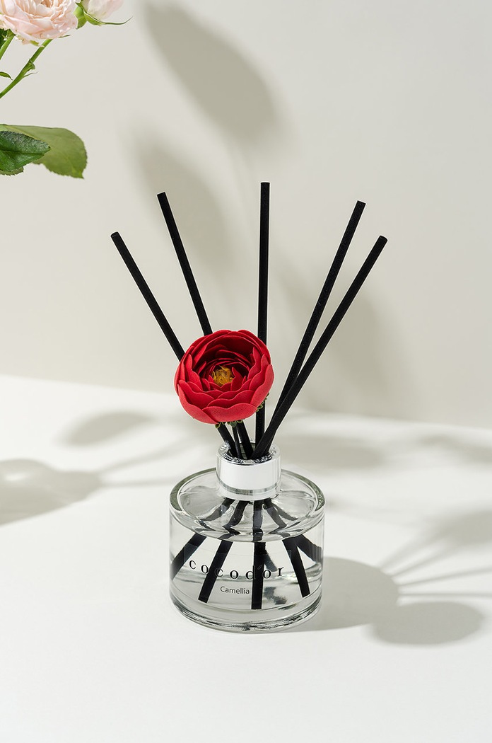 Home SPA Cocodor Raspršivač mirisa PDI30431 šarena
