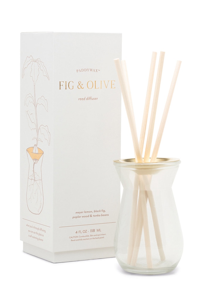 Paddywax dyfuzor zapachowy Fig & Olive 118 ml multicolor BUFD0405EU