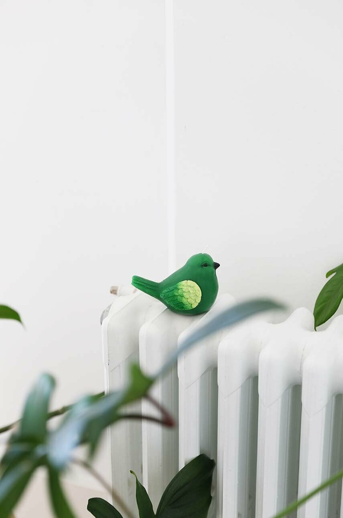 &k amsterdam Dekorativní svíčka &k amsterdam Chirp Dark Green 1098.02 zelená AA00