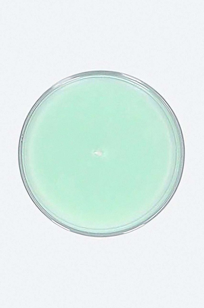 Accessories A.P.C. scented candle YBZAA.M84001 green