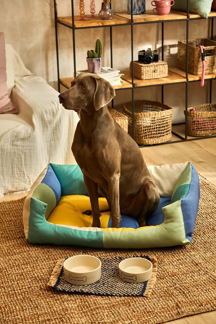 Calma House cuccia per animali Buby L BUBY.DOGL.TUR